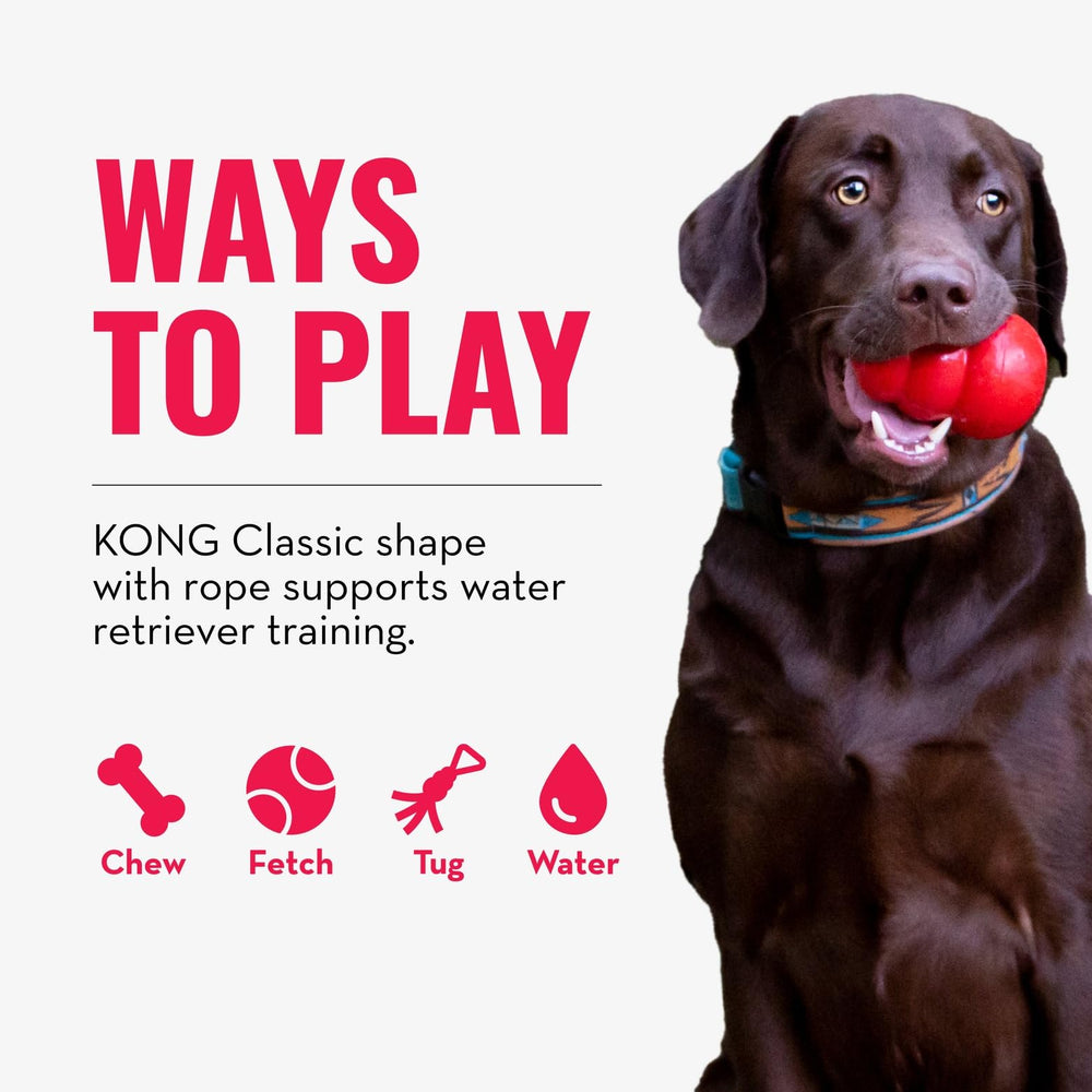 KONG Aqua diseño-clasico, combina forma tradicional con cuerda para entrenamiento