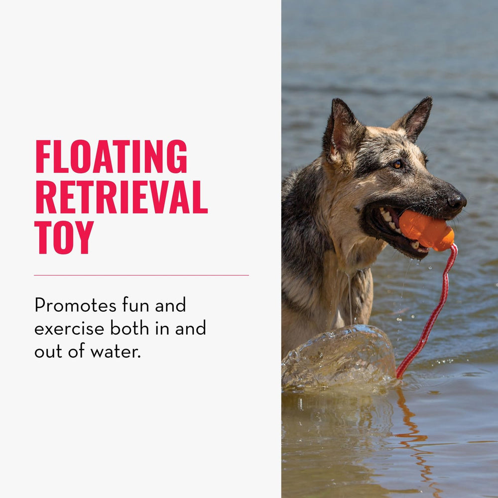 KONG Aqua natural-rubber-material, durable y seguro para mordidas suaves