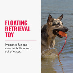 KONG Aqua natural-rubber-material, durable y seguro para mordidas suaves