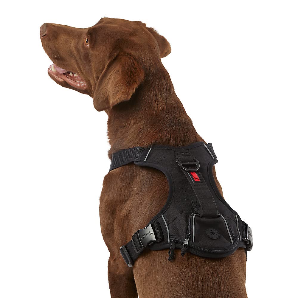 KONG arnés para desechos ultra resistente en talla extra grande, ideal para paseos activos con control