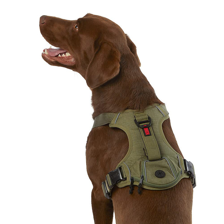 KONG arnés residuos perro con asa plegable para control durante paseos