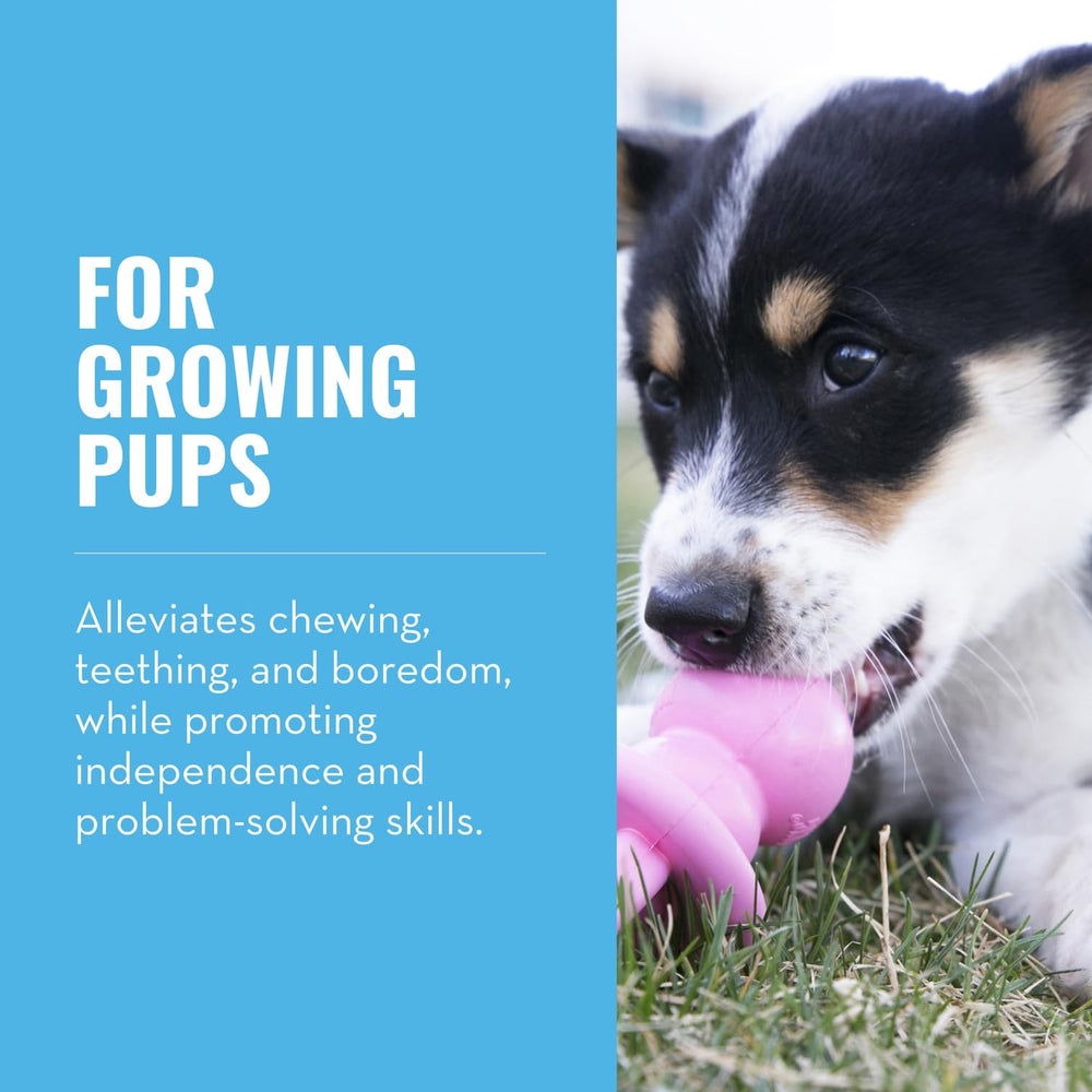 KONG Binkie para cachorros facilita la masticación y reduce el aburrimiento