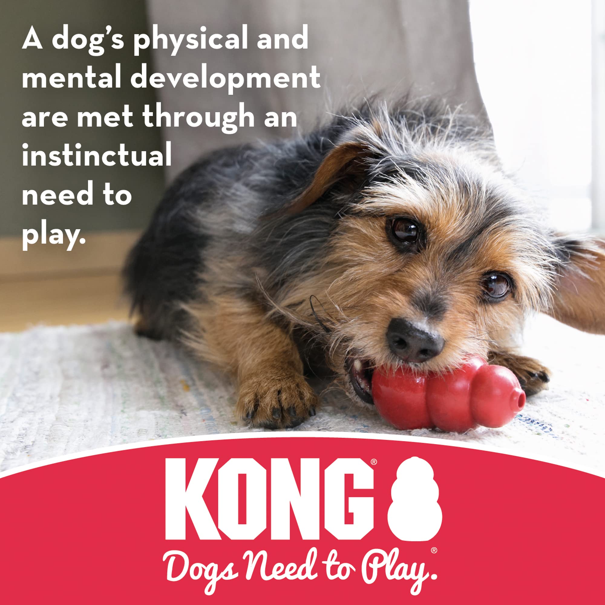 KONG Bola de galleta para perros grandes, tamaño adecuado.