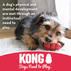 KONG Bola de galleta para perros grandes, tamaño adecuado.