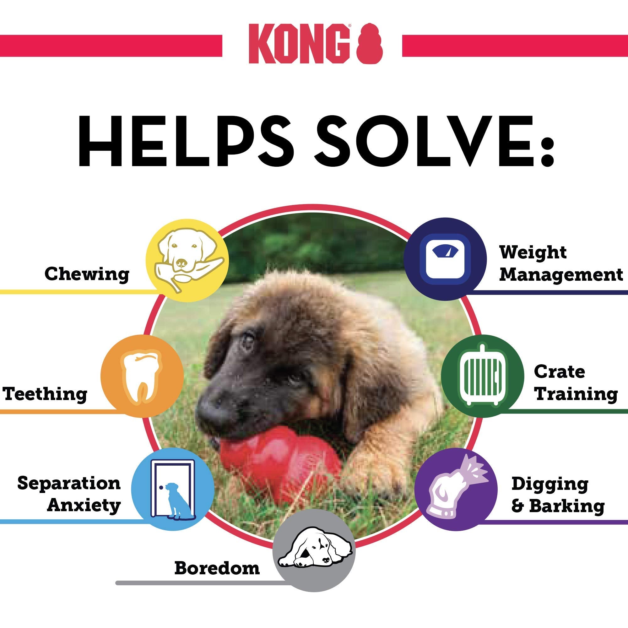 Pack de 2 KONG Classic para mayor entretenimiento y rutina.