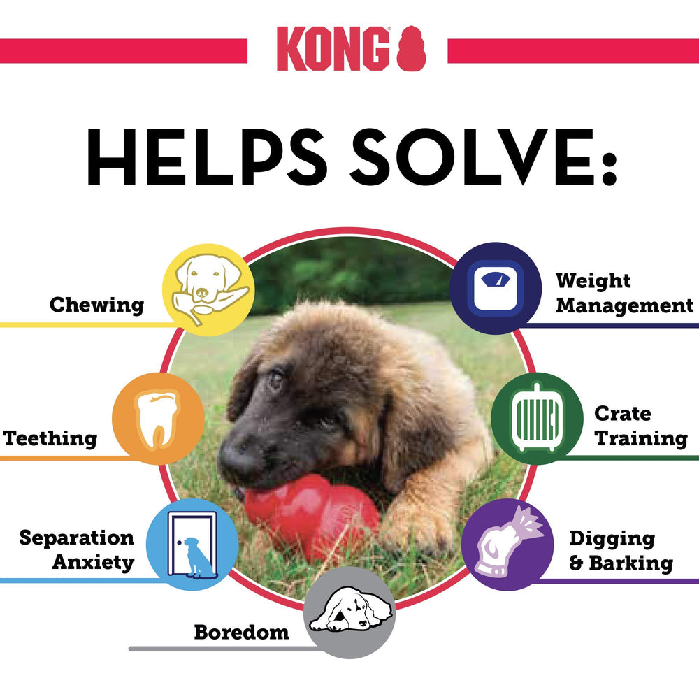 Pack de 2 KONG Classic para mayor entretenimiento y rutina.