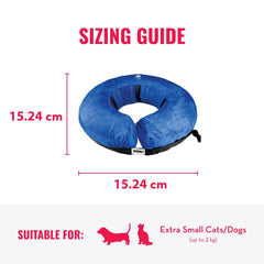 KONG Cloud Collar colocado en mascota pequeña para recuperación