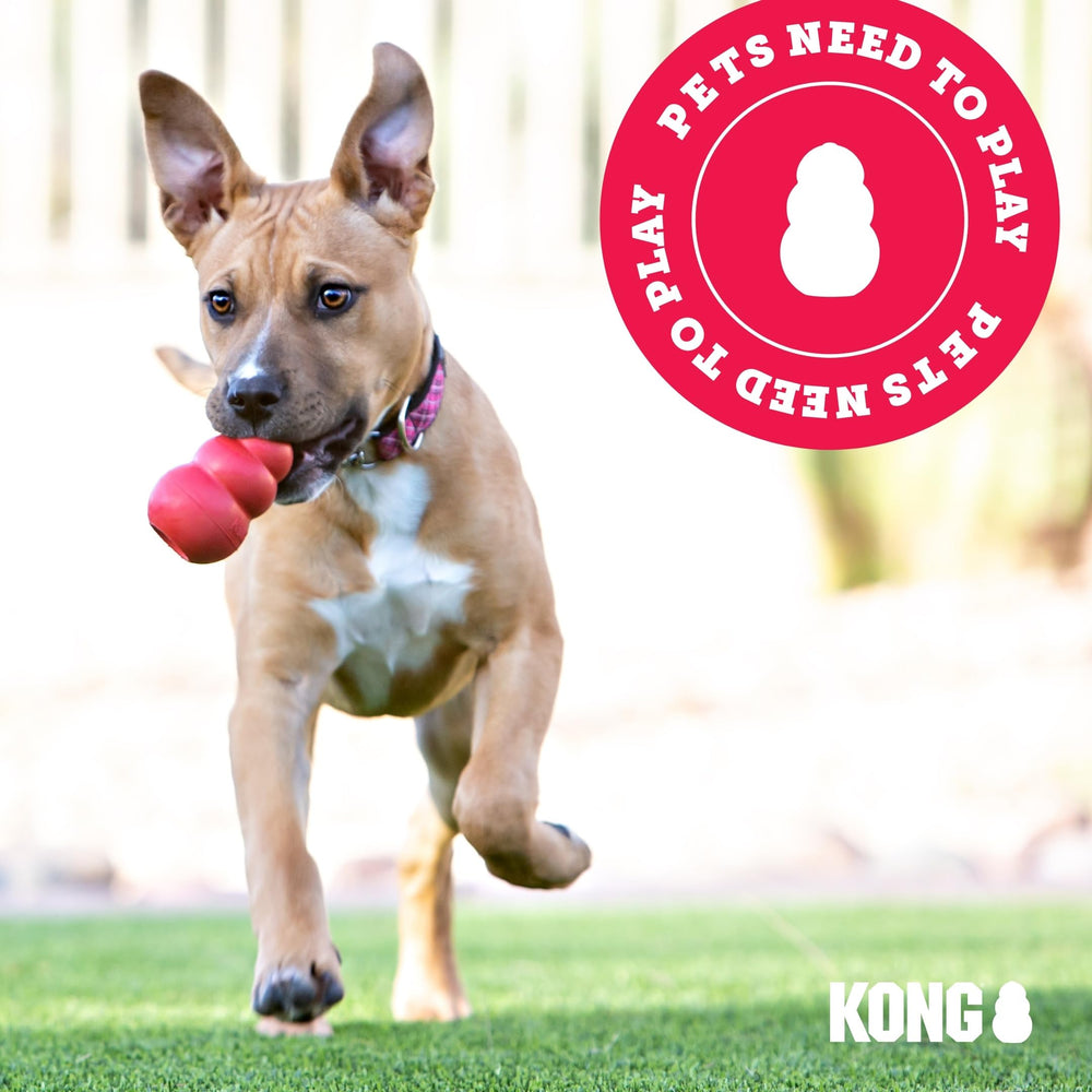 KONG Cloud E-Collar: adecuado para perros y gatos durante la recuperación.