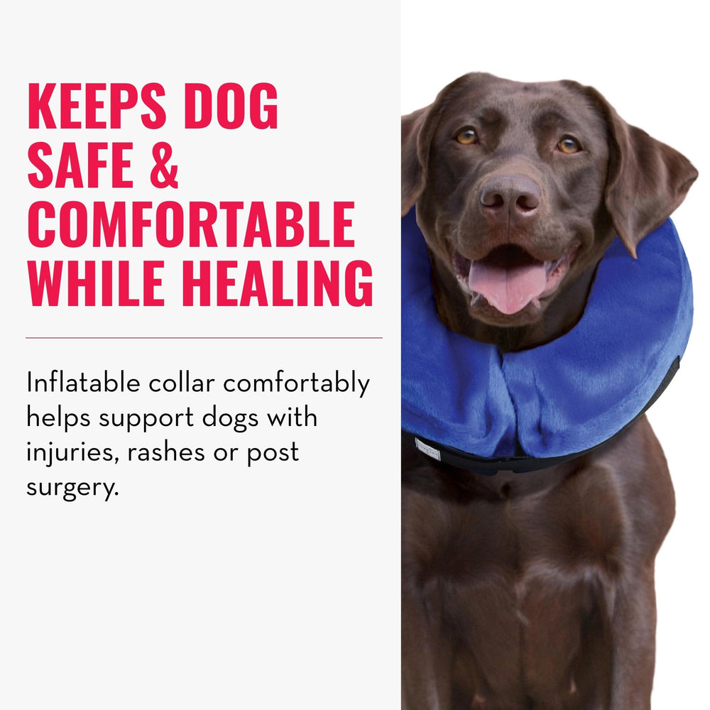 KONG Cloud E-Collar: tejido resistente evita desgarros durante la recuperación.