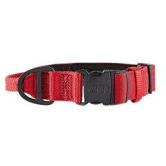 Collar KONG con hebilla metálica y anilla D para durabilidad diaria