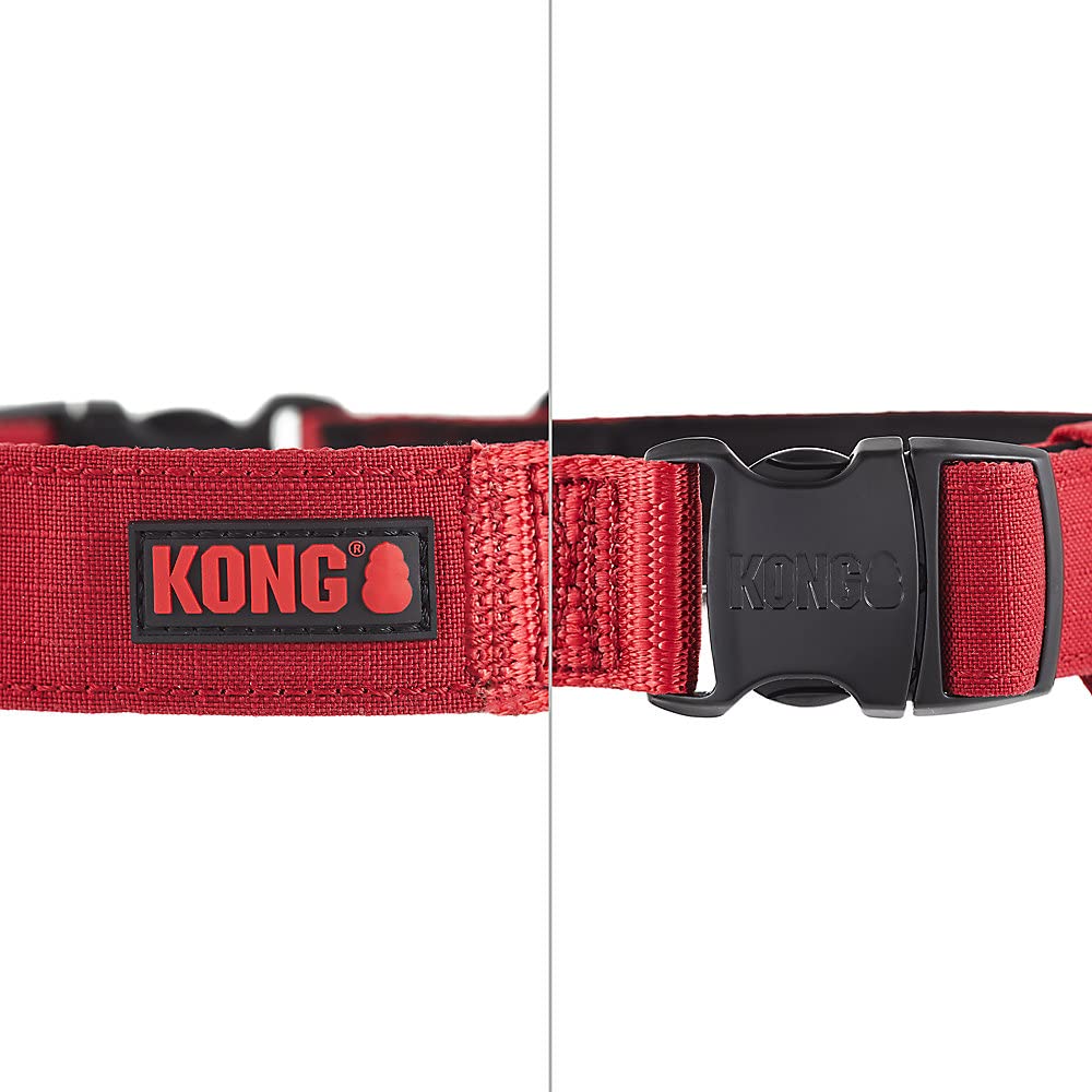 Collar KONG con acolchado de neopreno en interior para mayor comodidad