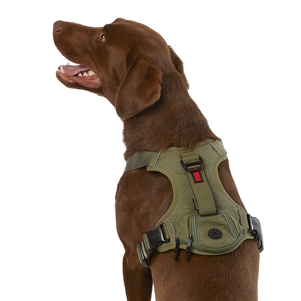 KONG correa-dispensador-bolsas-residuos verde para paseos con mayor control y limpieza rápida