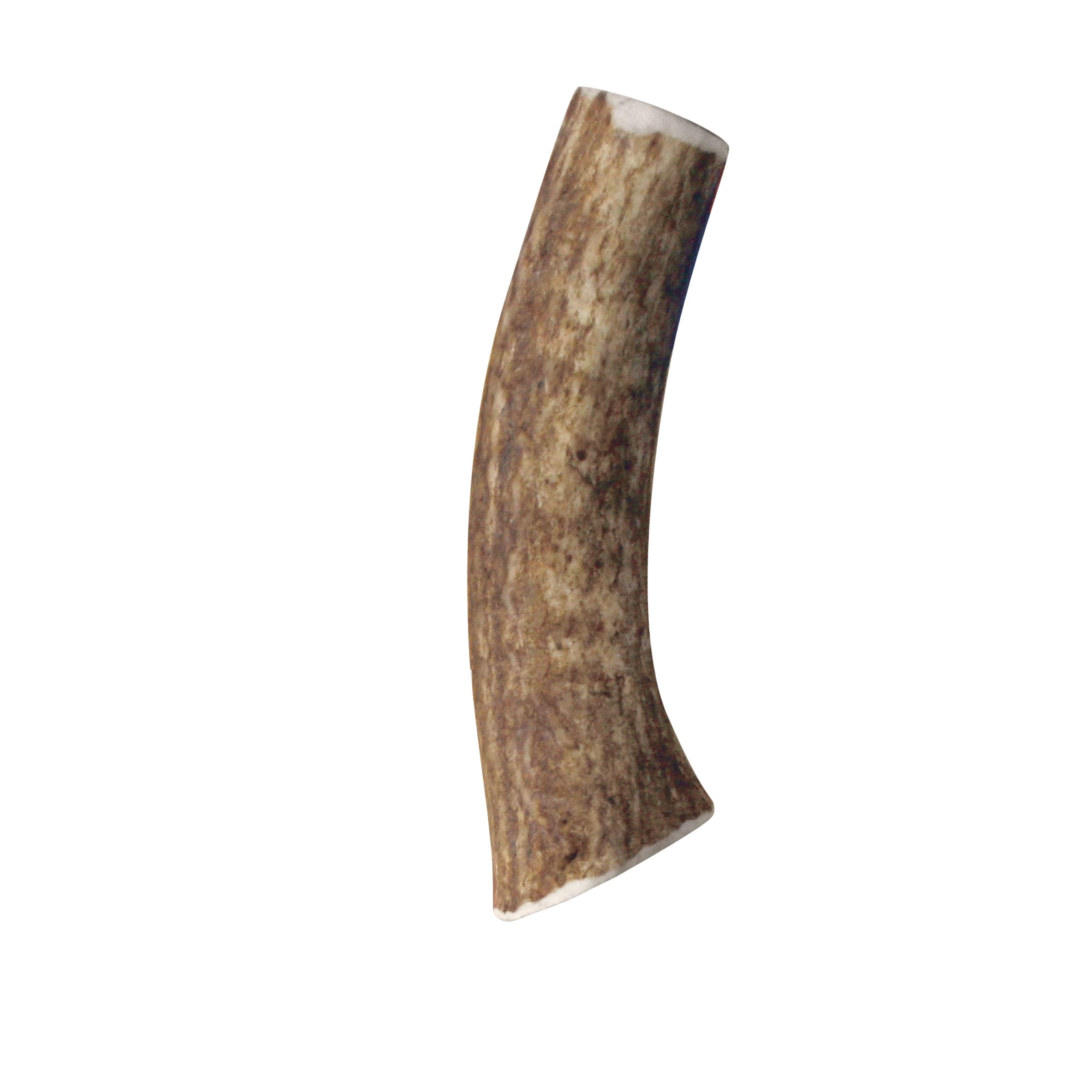 KONG cuerno natural para cuidado dental suave