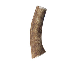 KONG cuerno natural para cuidado dental suave