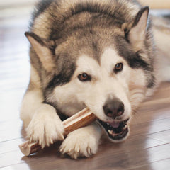 KONG cuernos de alce naturales para perros grandes