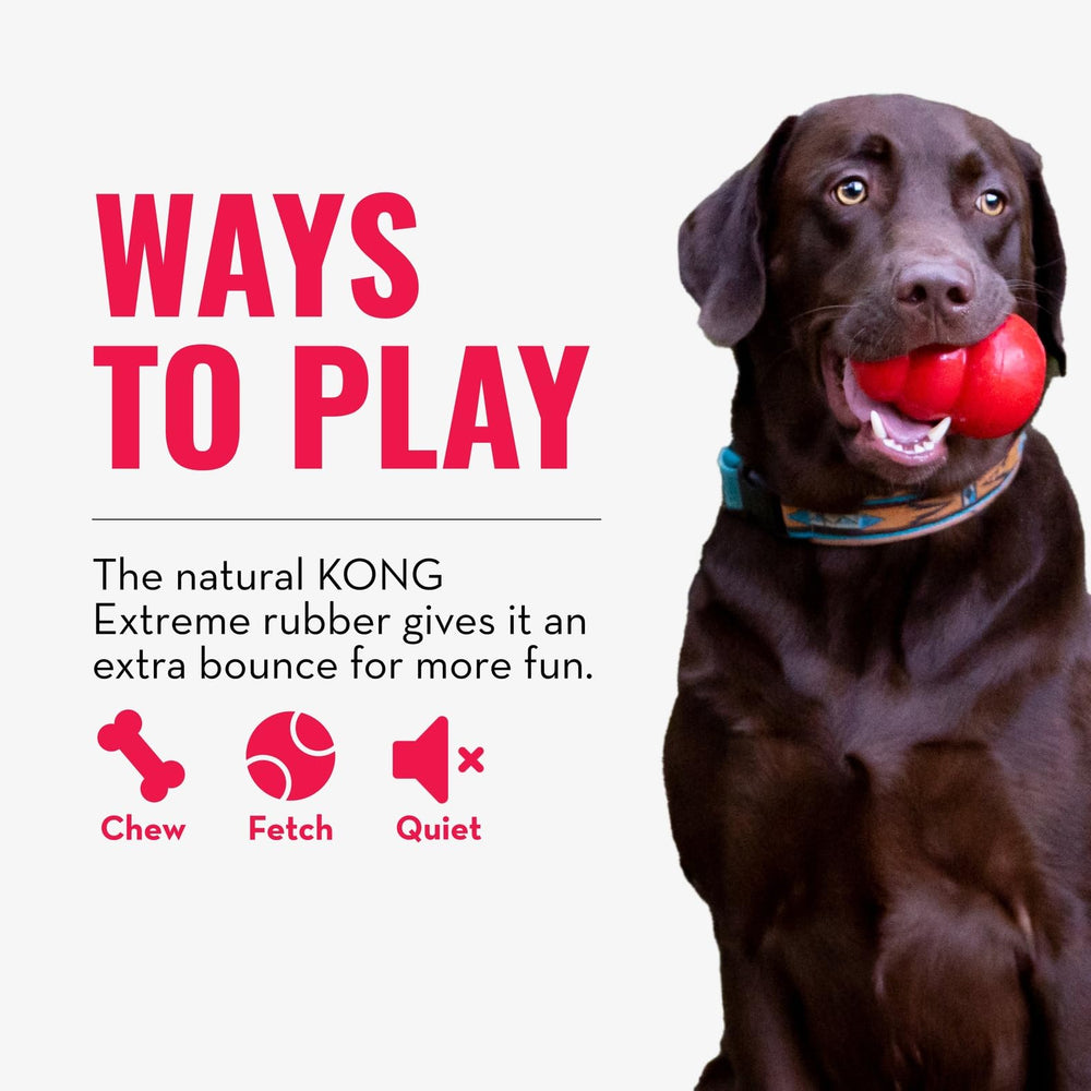 KONG Extreme Ball fabricado en EE. UU. con garantía de satisfacción.