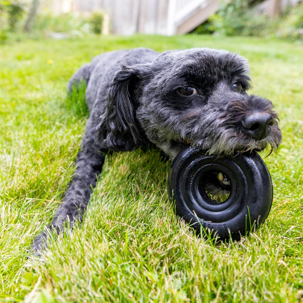 KONG Extreme Donut: para perros-potentes que muerden con determinación