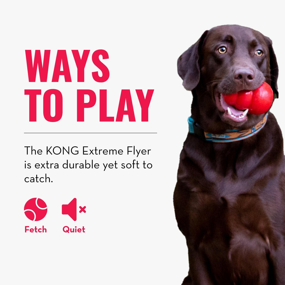 KONG Extreme Flyer, durabilidad para juegos prolongados y reacciones rápidas en el aire.