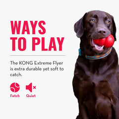 KONG Extreme Flyer, durabilidad para juegos prolongados y reacciones rápidas en el aire.