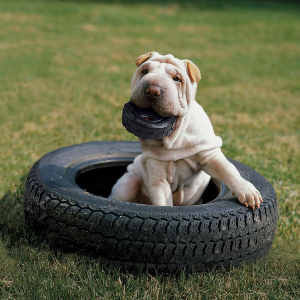 KONG Extreme Tires con interior para premios para más juego.