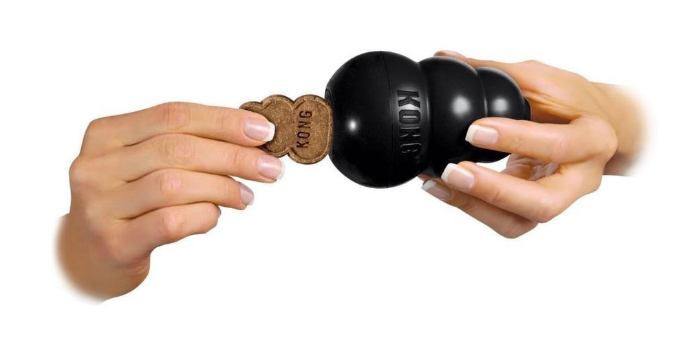 KONG Extreme relleno con premios para mantener entretenido al perro