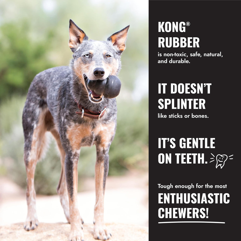 KONG Extreme Goodie Bone con Goodie Gripper, rellena premios con facilidad.