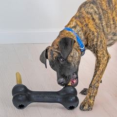 KONG Extreme Goodie Bone, goma natural negra, resistente para masticadores potentes.