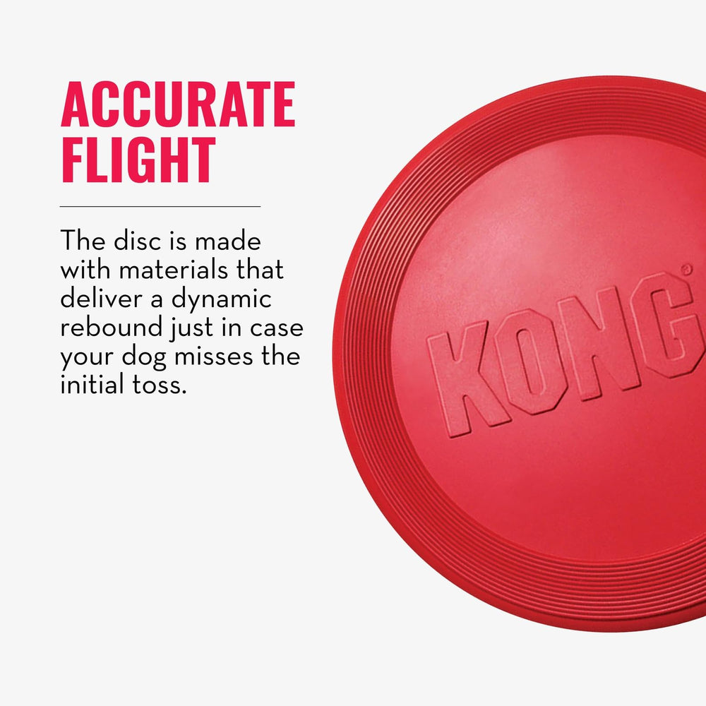 KONG Flyer: diseño seguro para disfrutar sin riesgos.