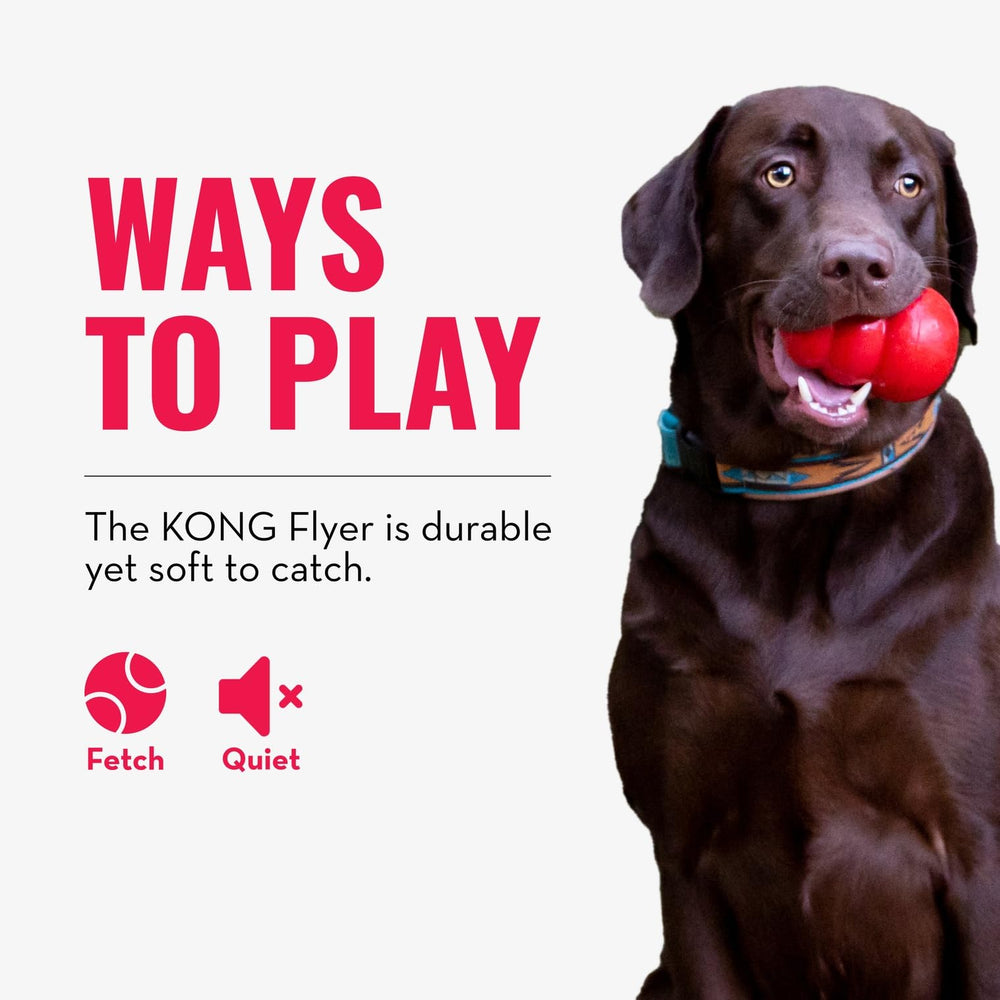 KONG Flyer, juego saludable para perros que favorece la actividad física.