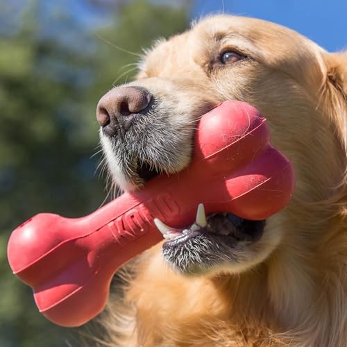 Juguete de caucho natural rojo KONG Goodie Bone, útil para sesiones de juego prolongadas.