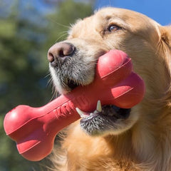 Juguete de caucho natural rojo KONG Goodie Bone, útil para sesiones de juego prolongadas.