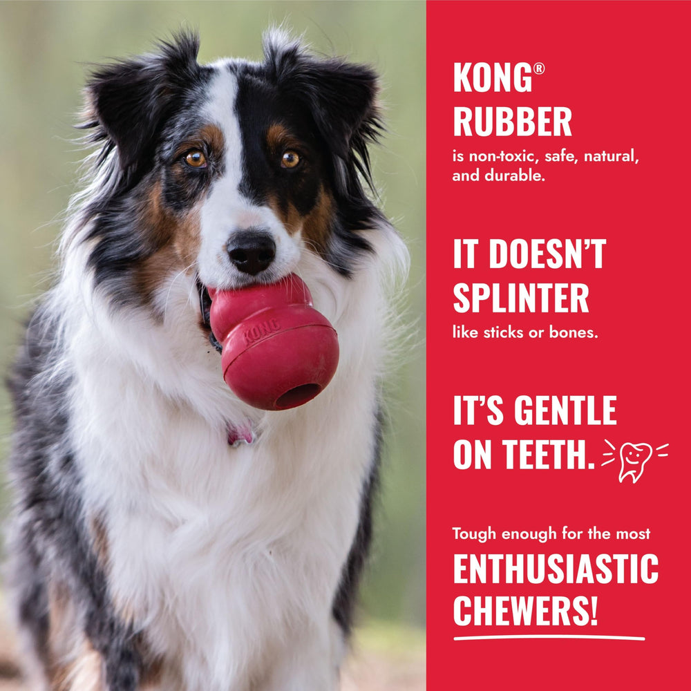 KONG Goodie Bone: relleno con KONG Easy Treat para reto interactivo