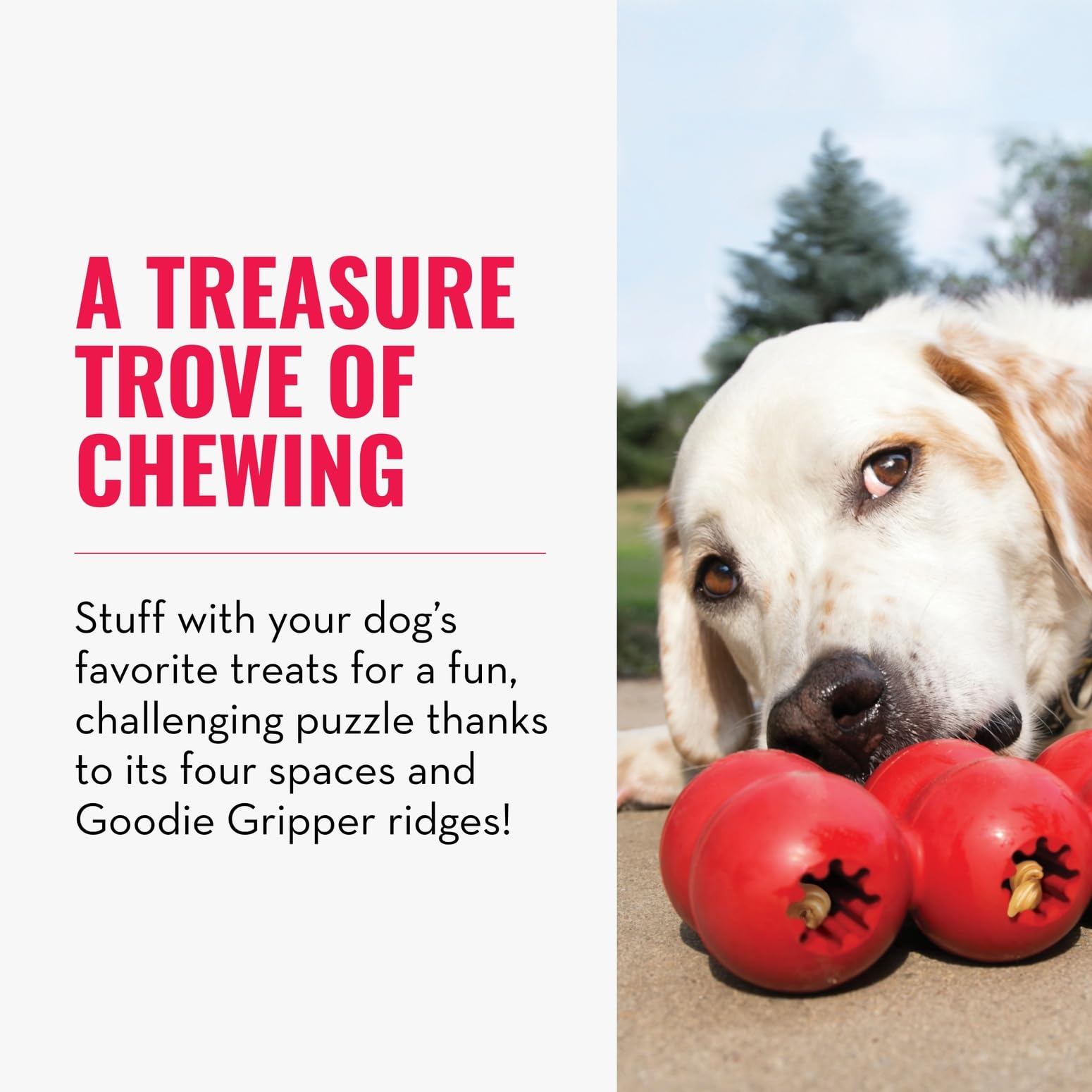 KONG Goodie Ribbon, goodie grippers, ofrece desafío mental al recuperar premios.