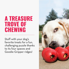 KONG Goodie Ribbon, goodie grippers, ofrece desafío mental al recuperar premios.
