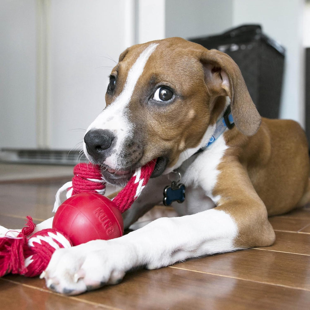 KONG Pelota con cuerda resistente, perfecta para morder y jugar.