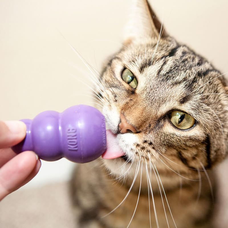 KONG Kitty: dispensador de golosinas para gatos, fomenta búsqueda y estimulación mental