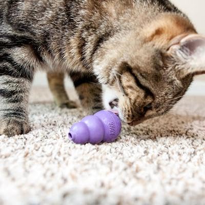 KONG Kitty: juego dentro de casa, perfecto para entretenimiento entre siestas