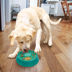 KONG Licks Spinz muestra textura doble cara para lamidos variados.