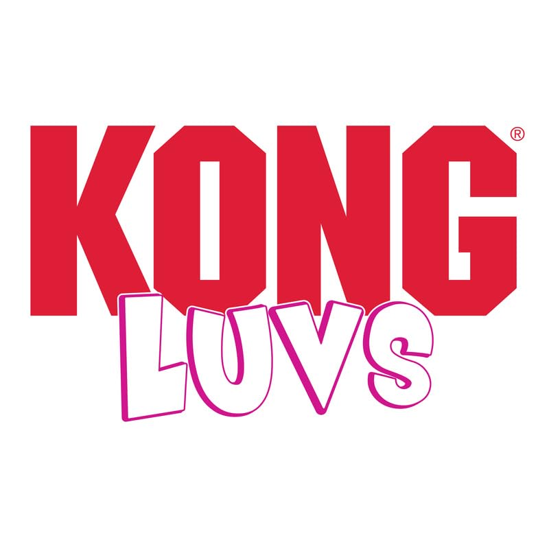 KONG Luvs Lagartija: juego individual para gatos, ideal para horas de diversión.