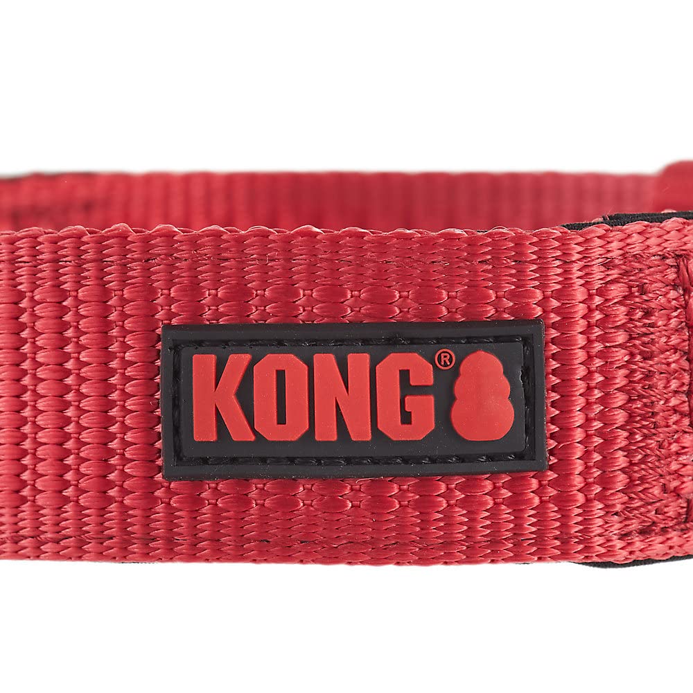 KONG Max HD collar con anilla en D para la identificación
