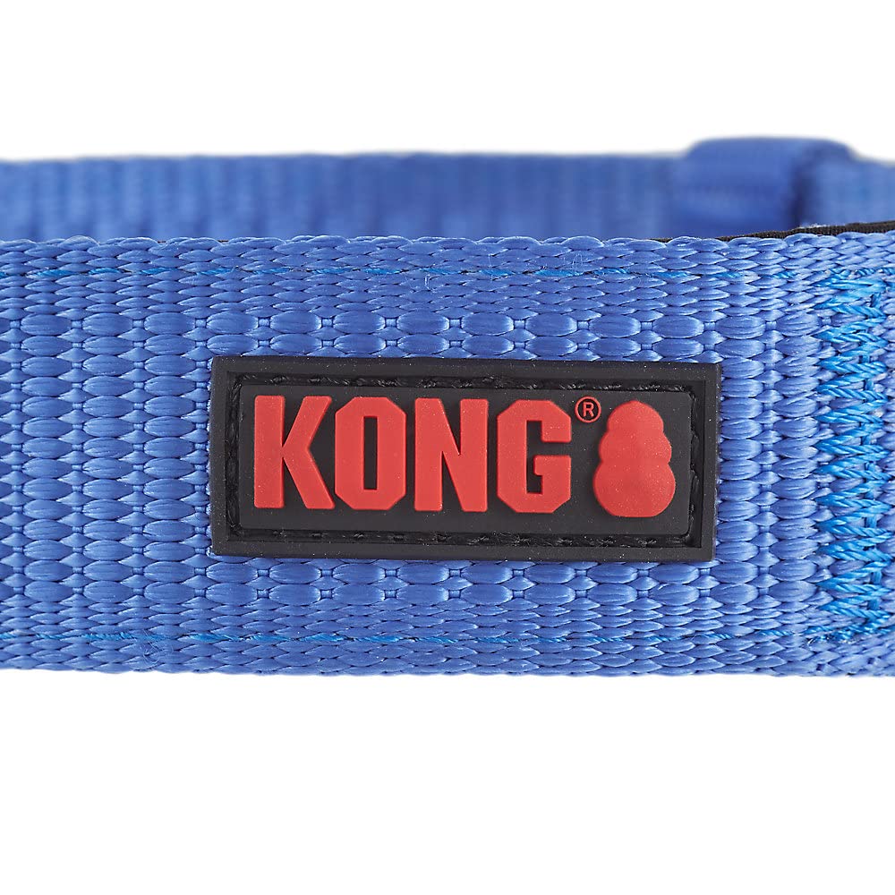 KONG Max HD collar azul con anillo en D para identificación y paseos seguros.