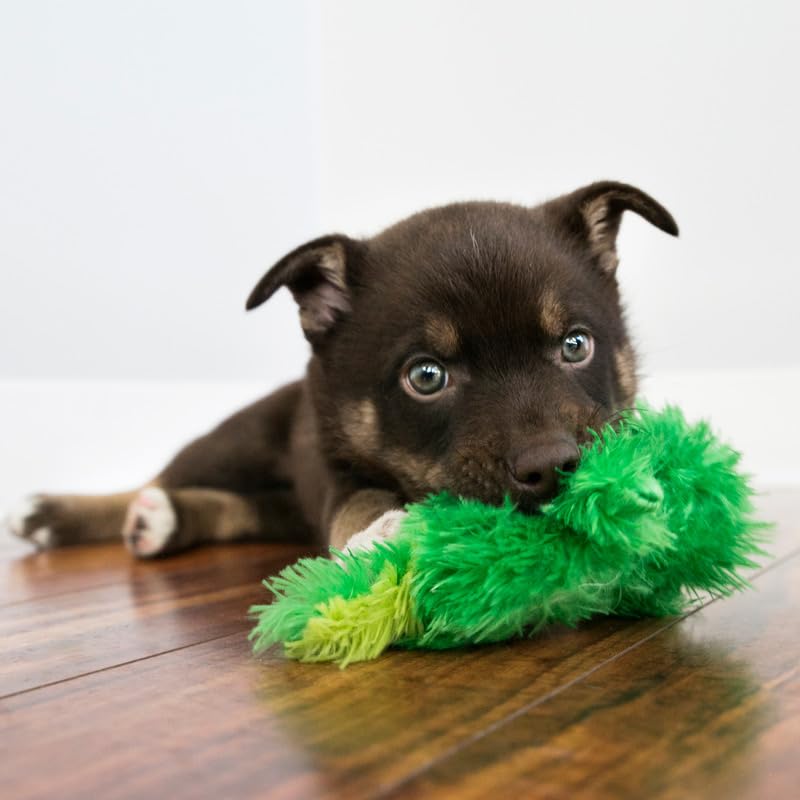 KONG pato talla-xs para perros pequeños y juego interactivo.