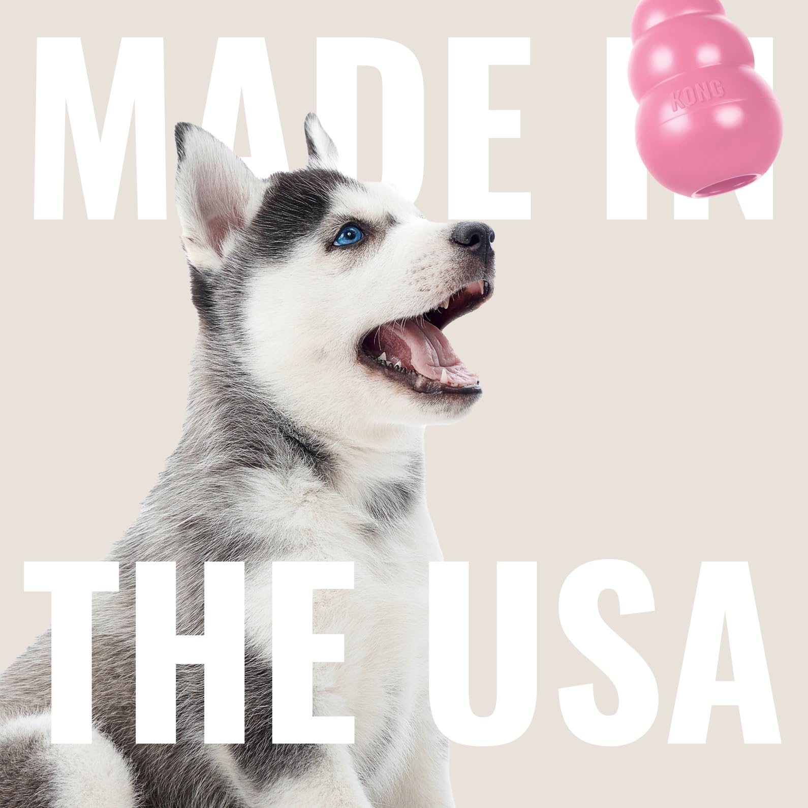KONG Puppy dientes cachorros en foco y forma suave.