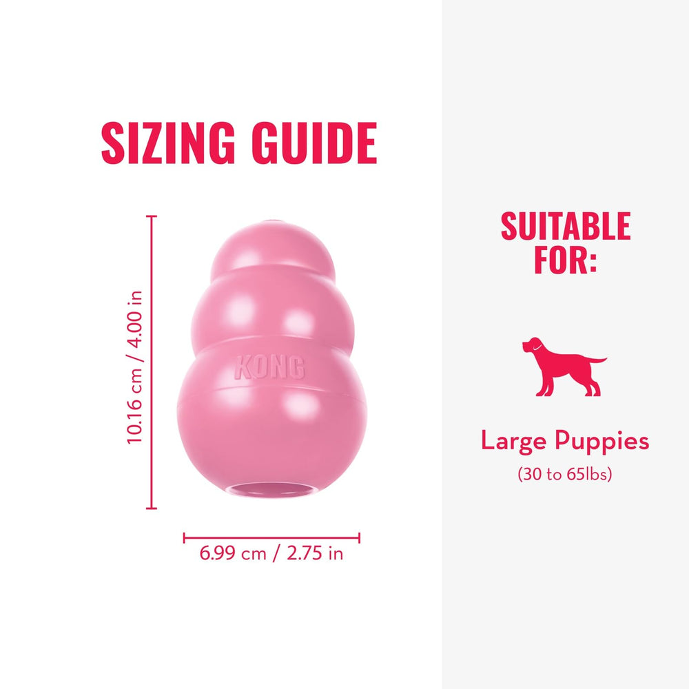 KONG Puppy entrenamiento y diversión combinados durante las sesiones de adiestramiento.