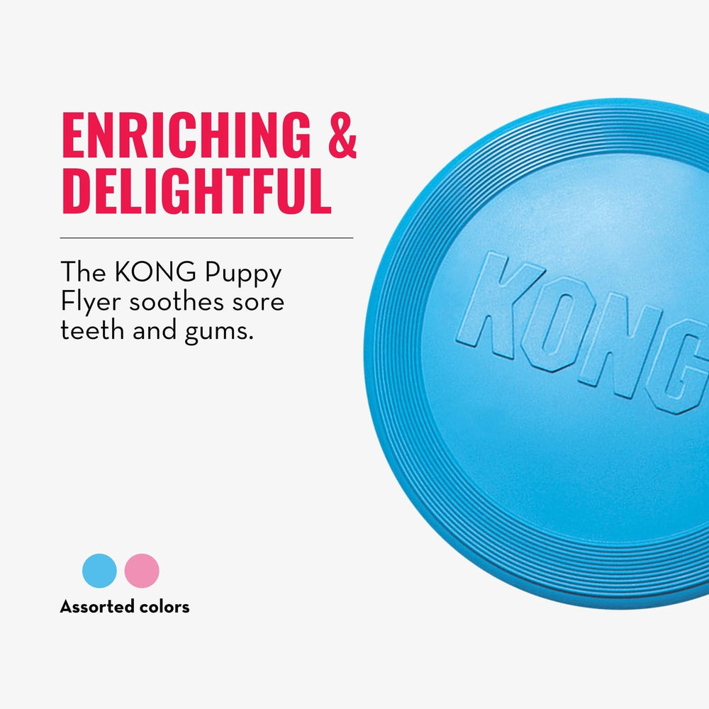 KONG Puppy Flyer perfecto para parques, ideal para paseos y recreo supervisado.