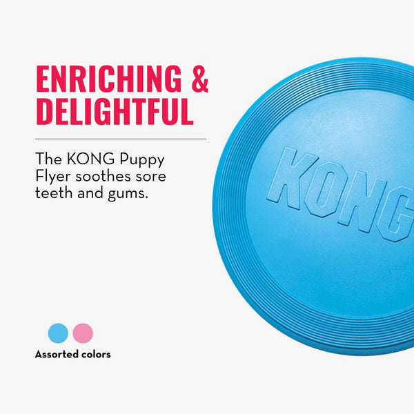 KONG Puppy Flyer perfecto para parques, ideal para paseos y recreo supervisado.