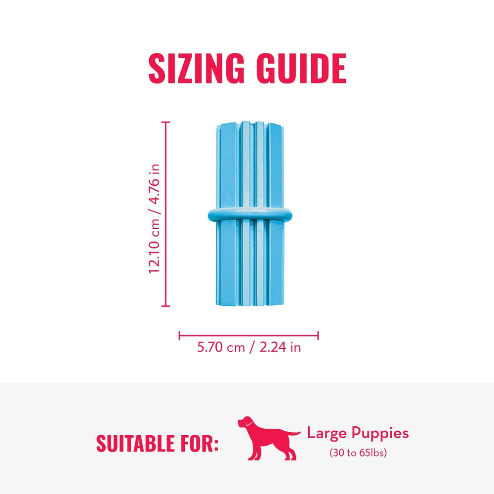 KONG Puppy Teething Stick favorece la limpieza dental durante el juego.