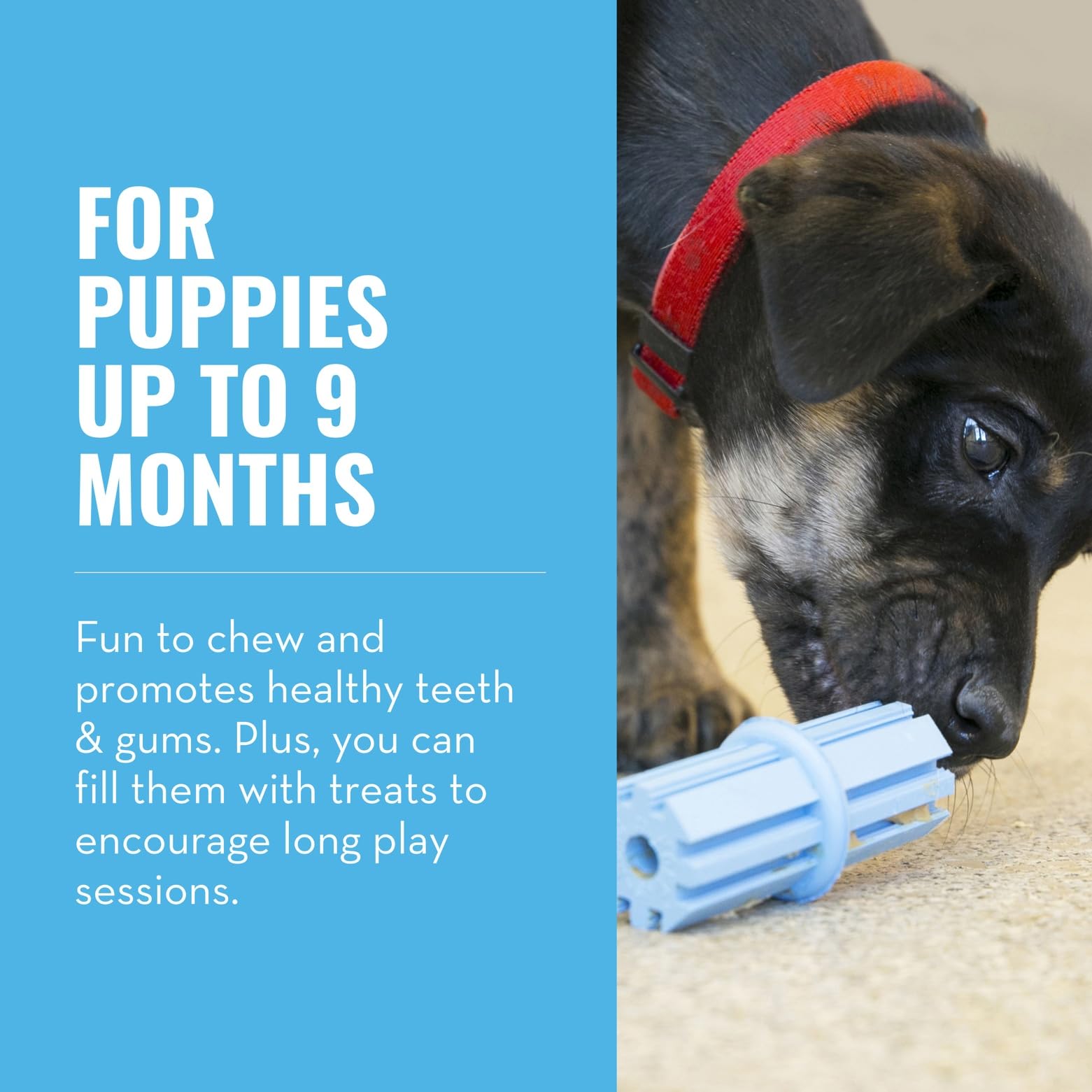 KONG Puppy Teething Stick ideal para premios y rellenos sabrosos.