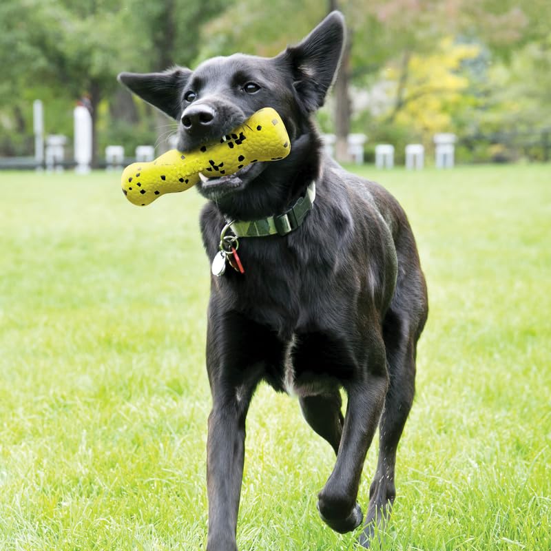 KONG Reflex Stick Md ofrece mordida resistente para masticadores exigentes.