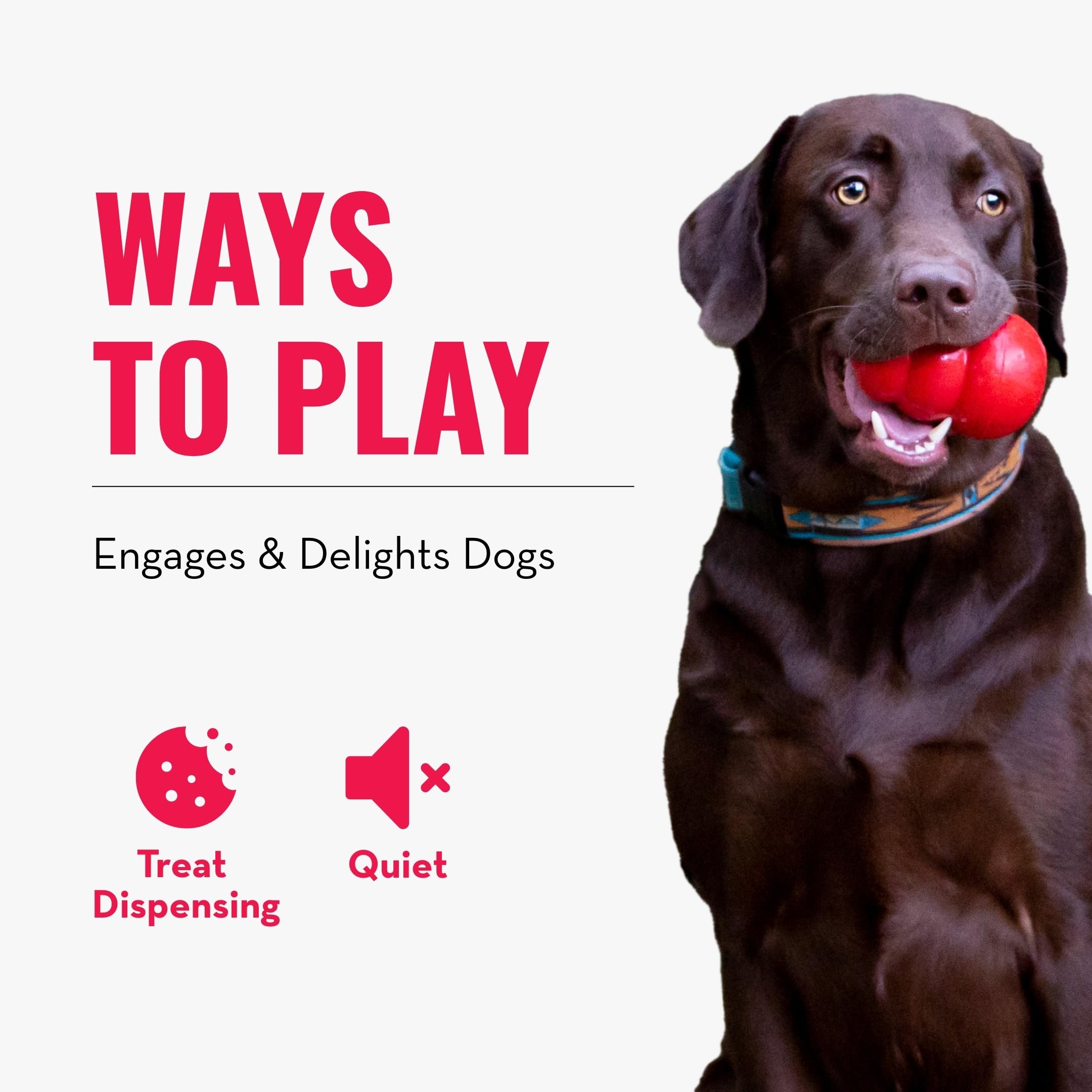 KONG Rewards Ball: juego silencioso para sesiones tranquilas en casa.